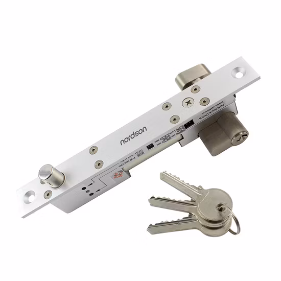 Adjustable Mode Fail-Secure&Fail-Safe Full Solid Stainless Steel Micro Door Lock System with Emergency Key