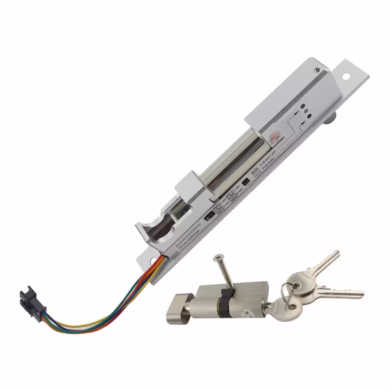 Adjustable Mode Fail-Secure&Fail-Safe Full Solid Stainless Steel Micro Door Lock System with Emergency Key